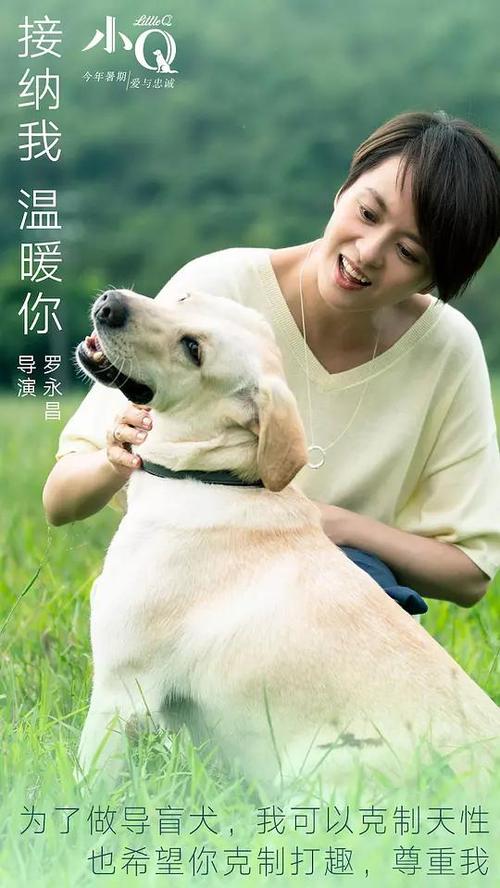 格里菲斯大学student card